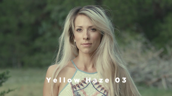 Theo Miesner – Swiss Video LUTs Collection — preview 2