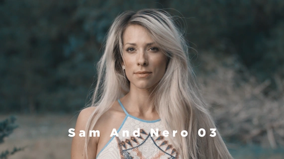 Theo Miesner – Swiss Video LUTs Collection — preview 4