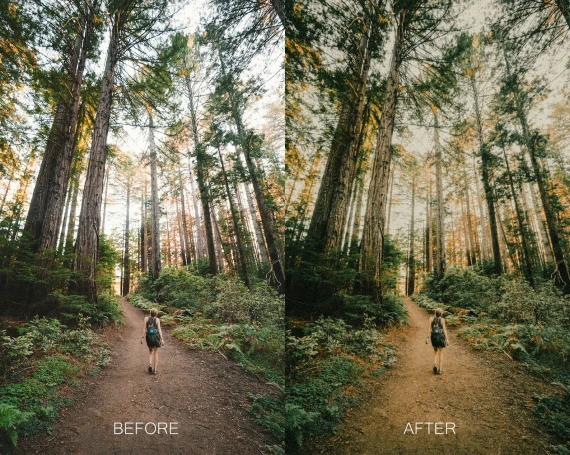 Twig & Olive Photography – LR Warm Film Presets — preview 9