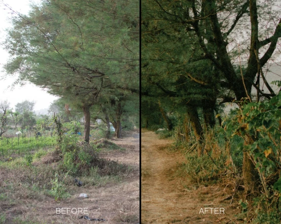 Twig & Olive Photography – LR Warm Film Presets — preview 8